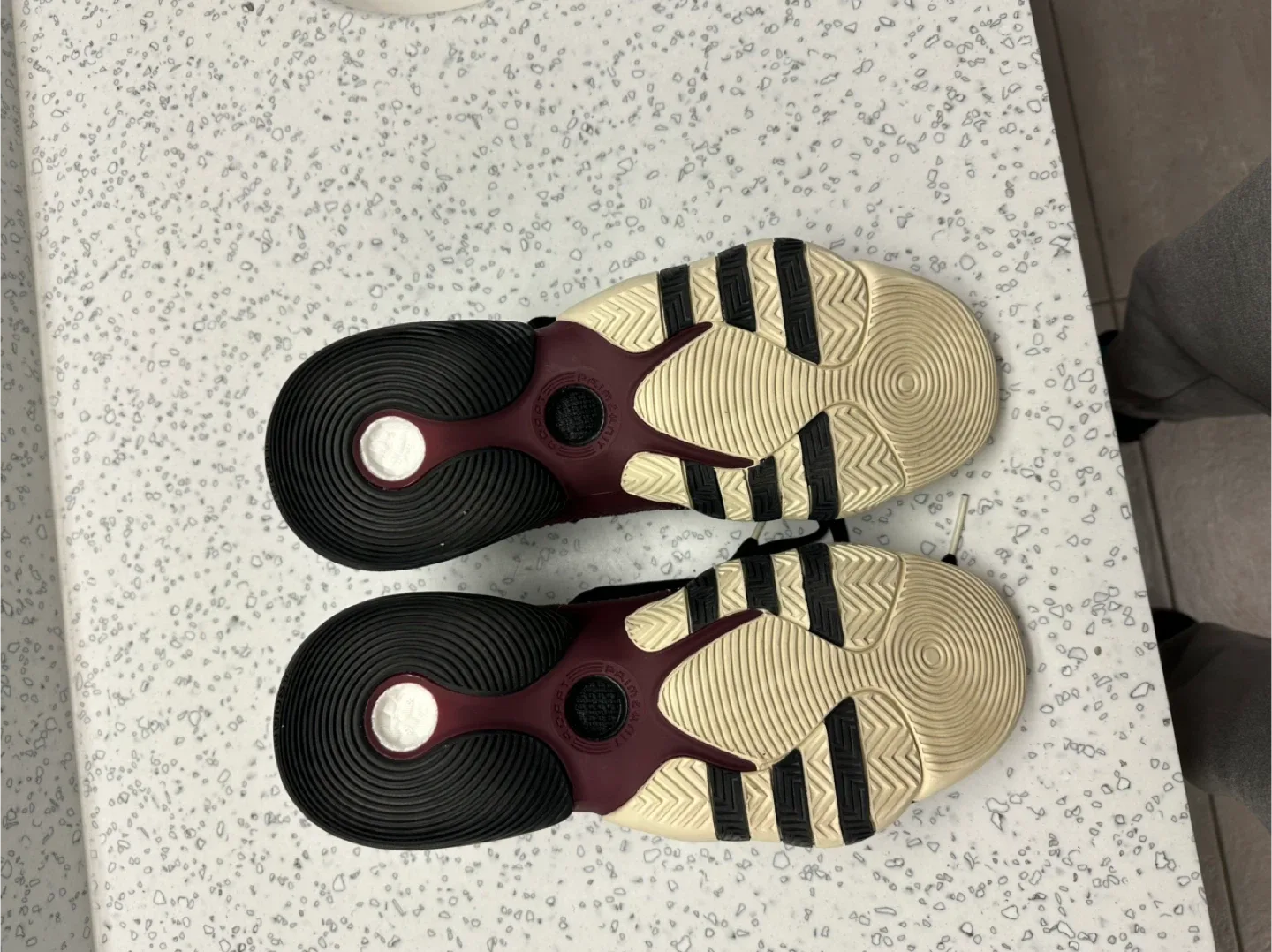 Trae young 2 Texas A&M size 12 1/2 image indicator(3)