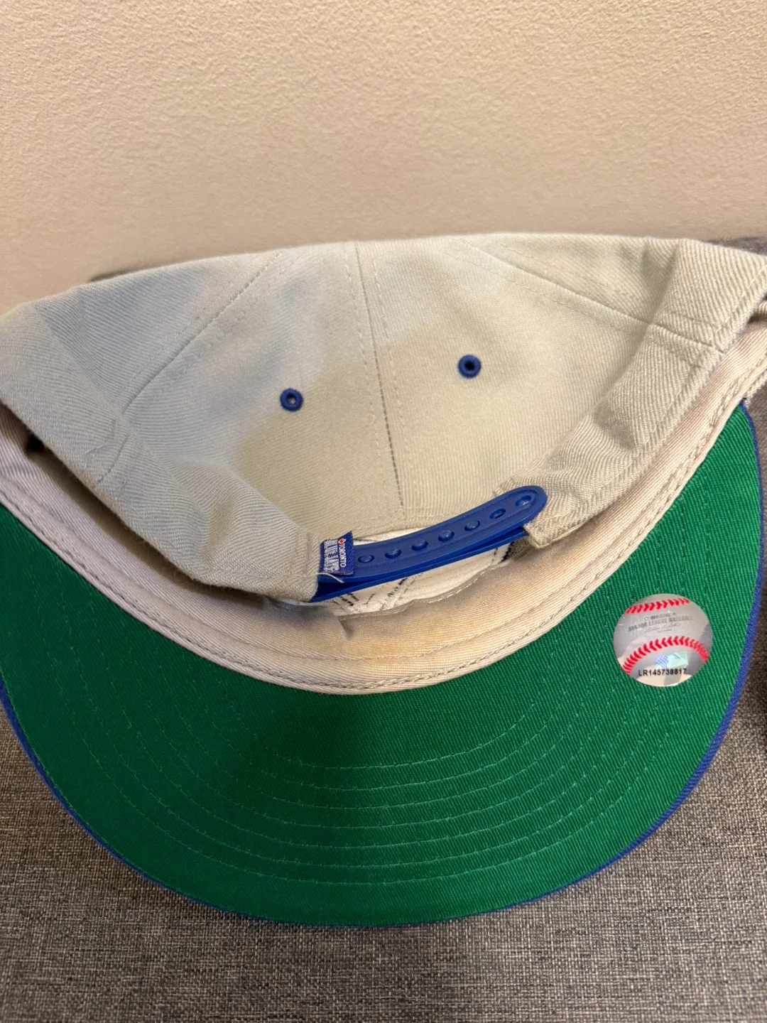 Blue Jays hoodie and Hat image indicator(6)