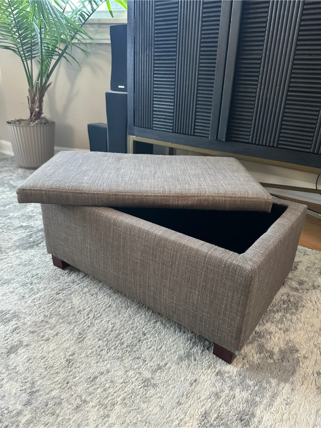 Storage Ottoman 🥕