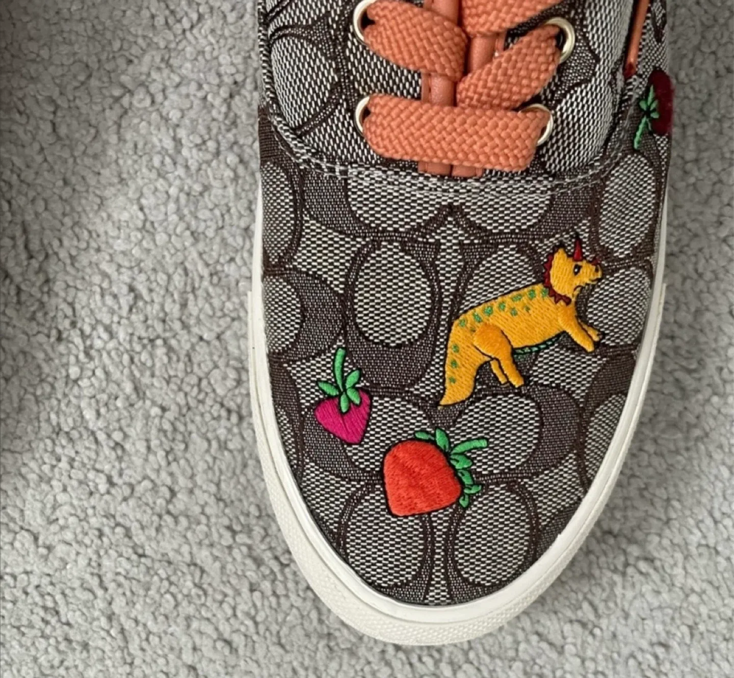 Coach X Observed By Us Skate Sneakers image indicator(2)