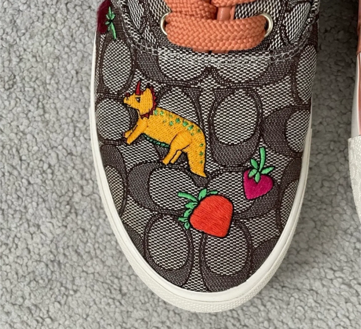 Coach X Observed By Us Skate Sneakers image indicator(3)