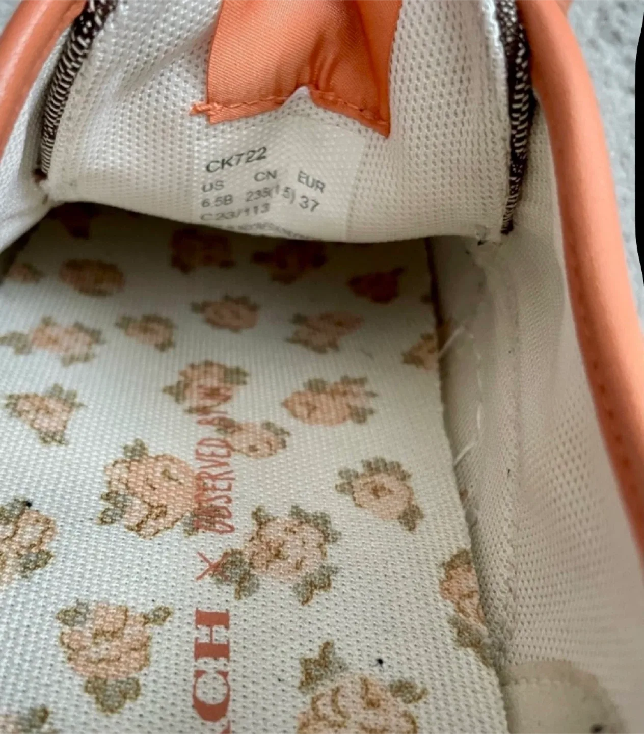 Coach X Observed By Us Skate Sneakers image indicator(7)