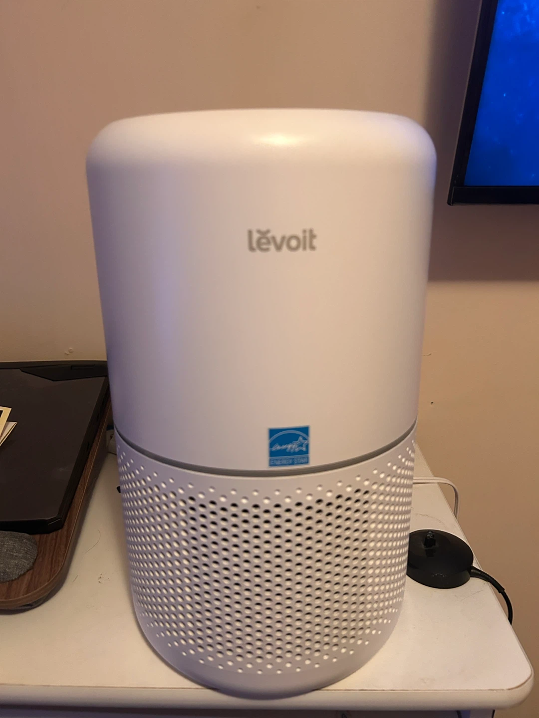 Levoit 300s