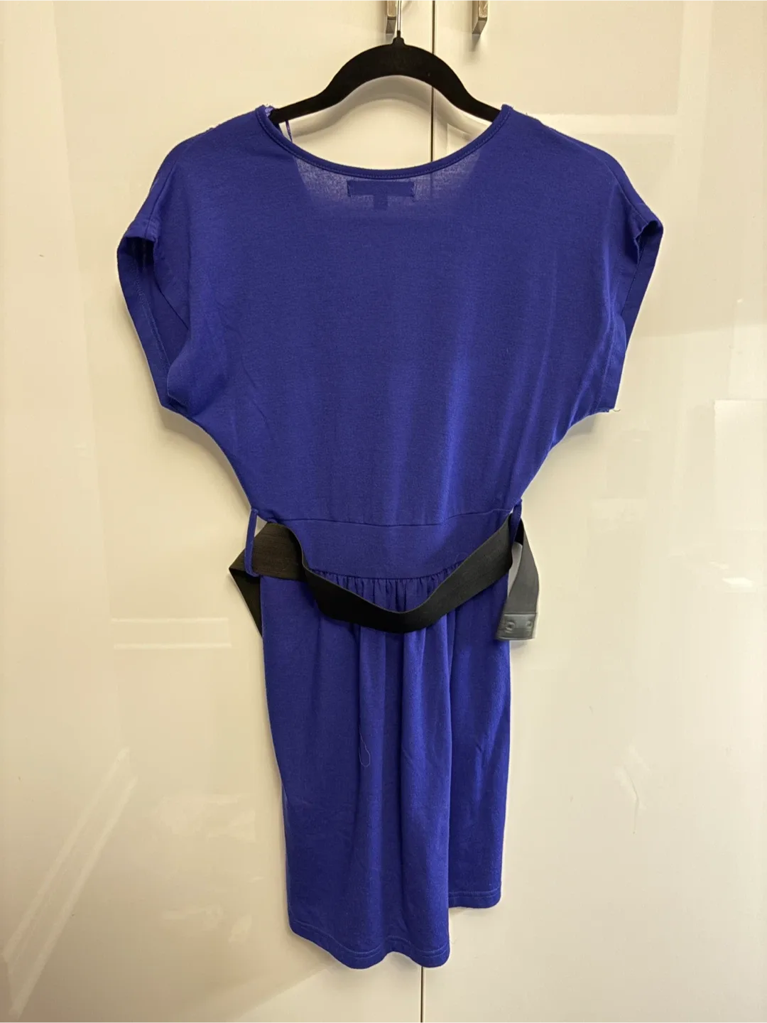 Blue Dress - Size Small image indicator(4)