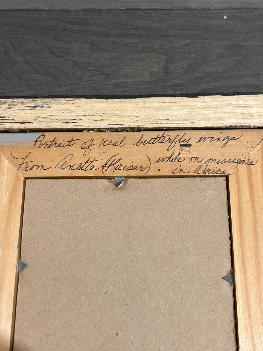 Butterfly Wing Portrait by Anotte Kaiser image indicator(5)