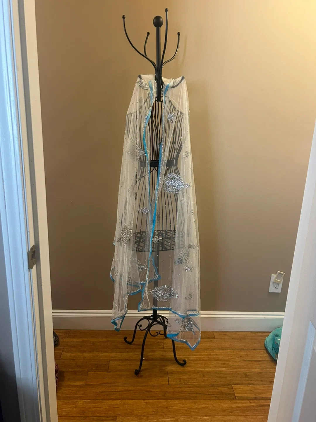 Indian/Pakistani Dresses & Shawls image indicator(4)