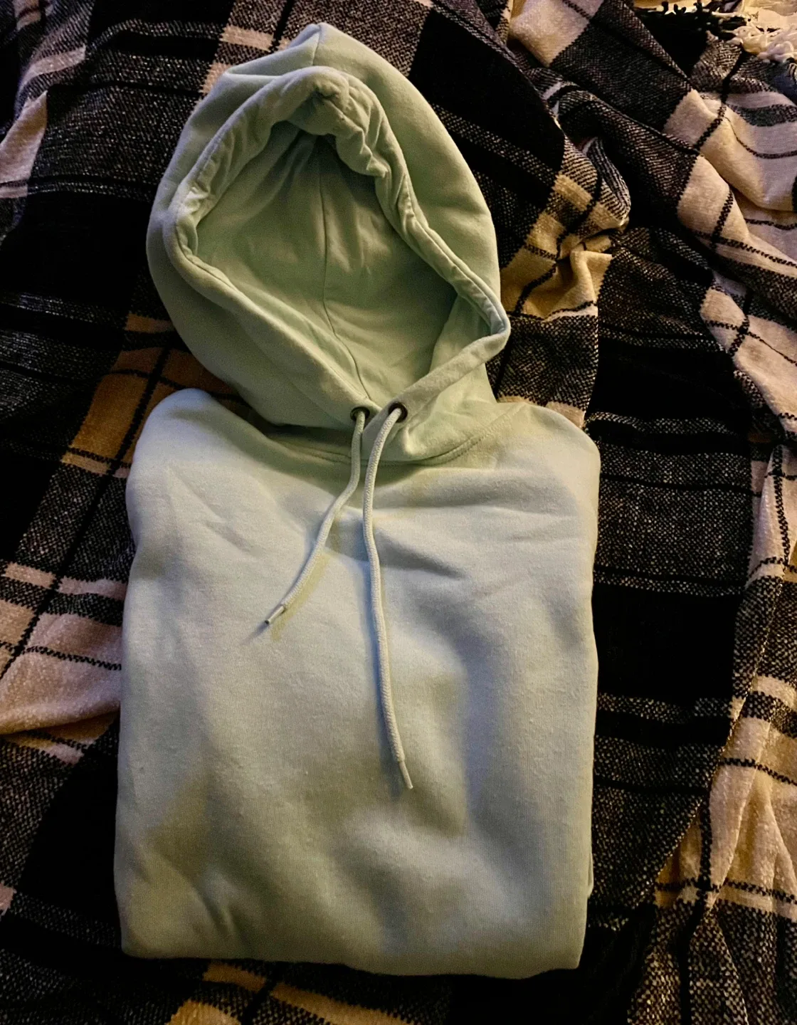 🥕 Bluenotes Light Blue Hoodie - Size M image indicator(4)