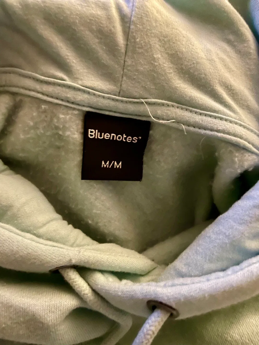 🥕 Bluenotes Light Blue Hoodie - Size M image indicator(3)