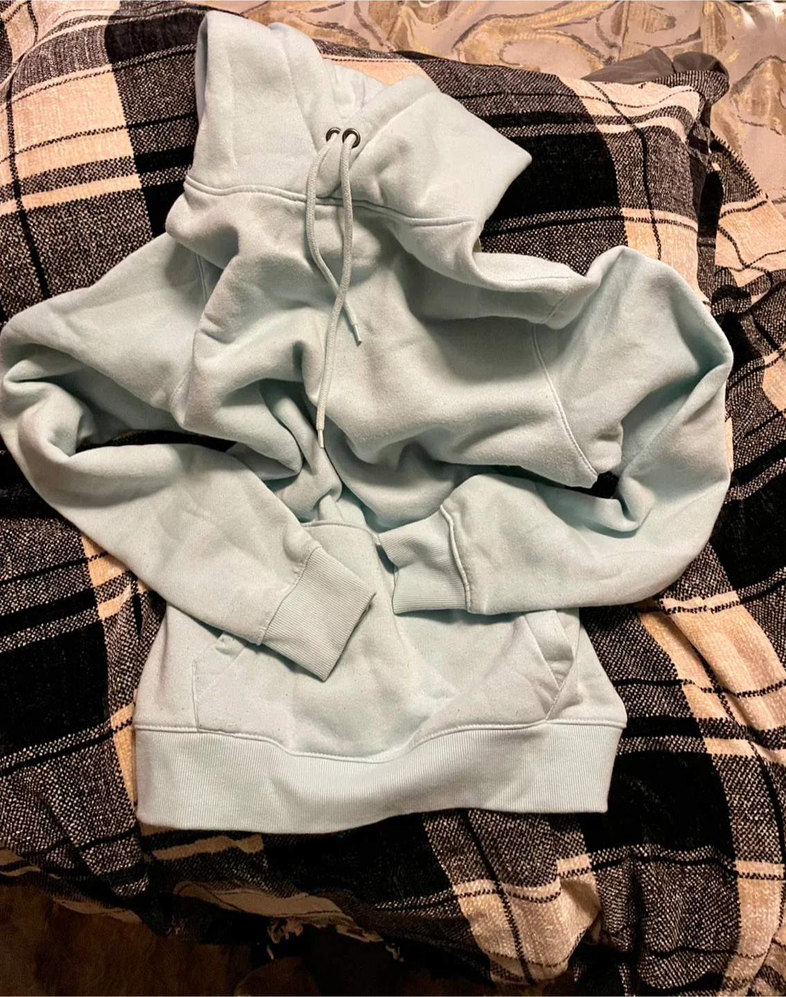 🥕 Bluenotes Light Blue Hoodie - Size M image indicator(2)