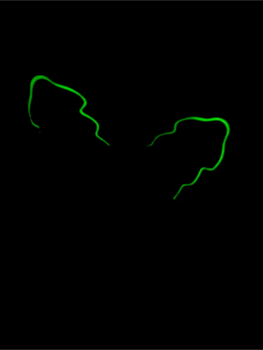 Adidas Ozweego Disney Villains Shoes image indicator(3)