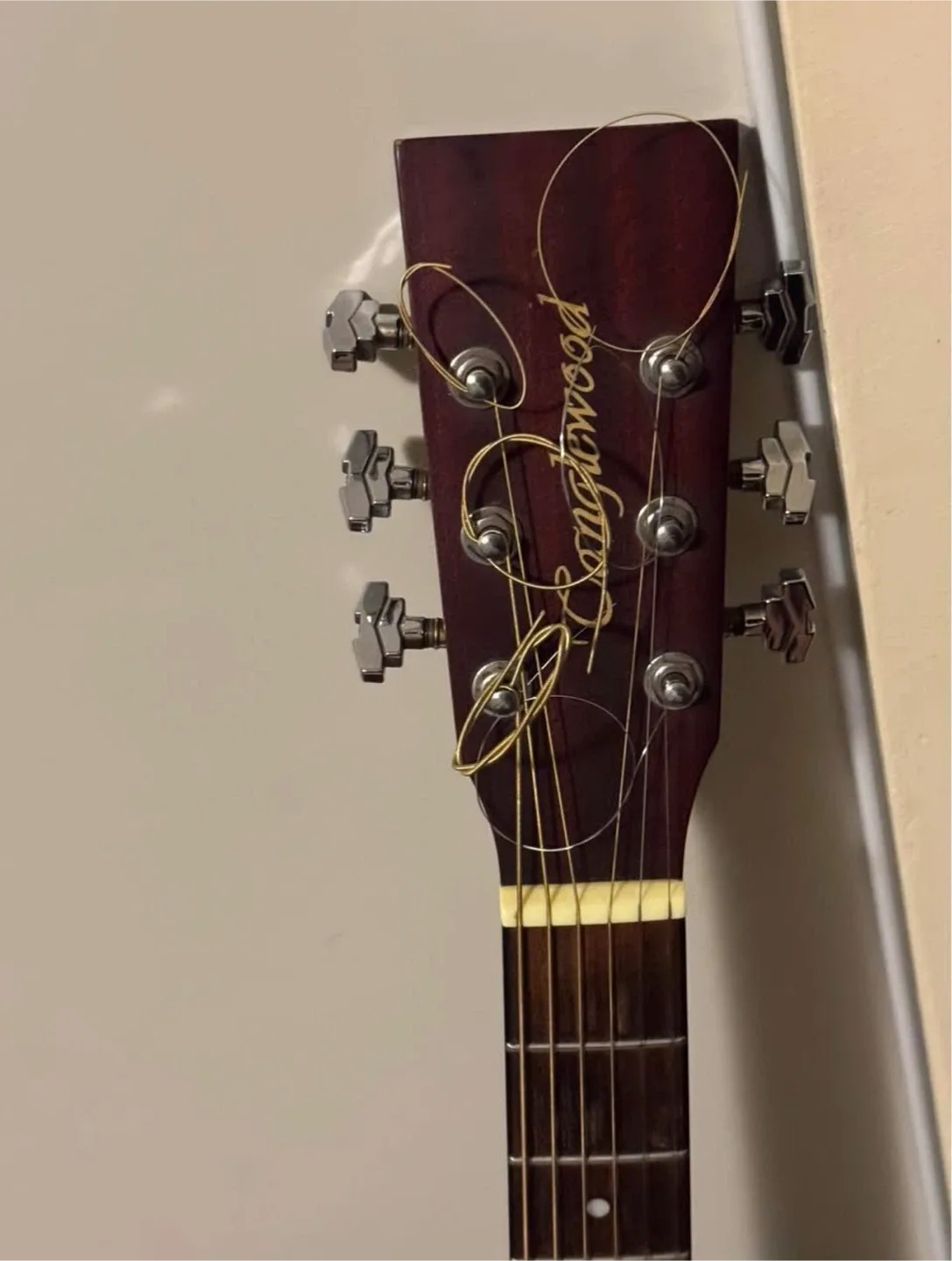 Tanglewood Acoustic Guitar image indicator(2)