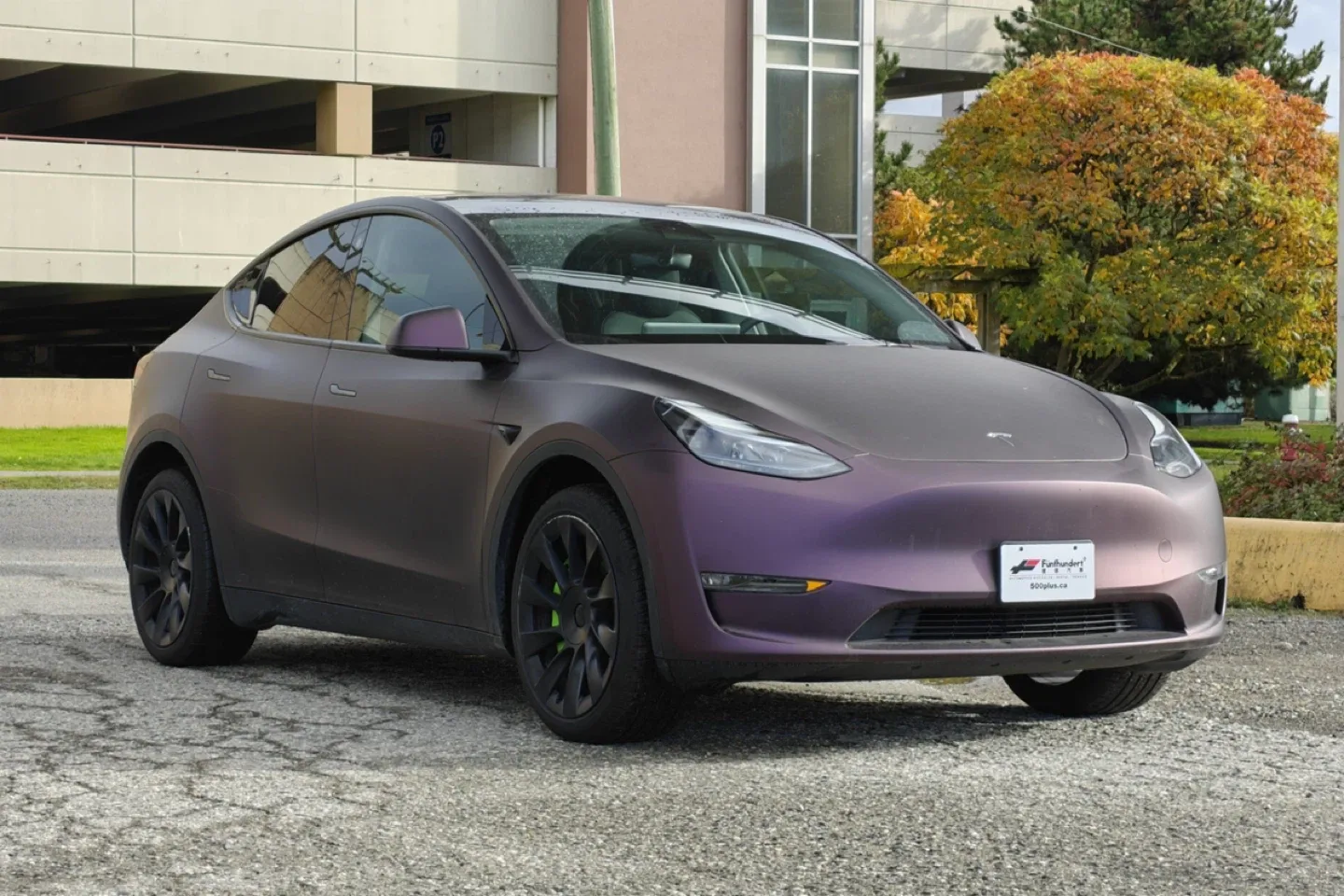 Tesla Model Y - Custom Colour image indicator(2)