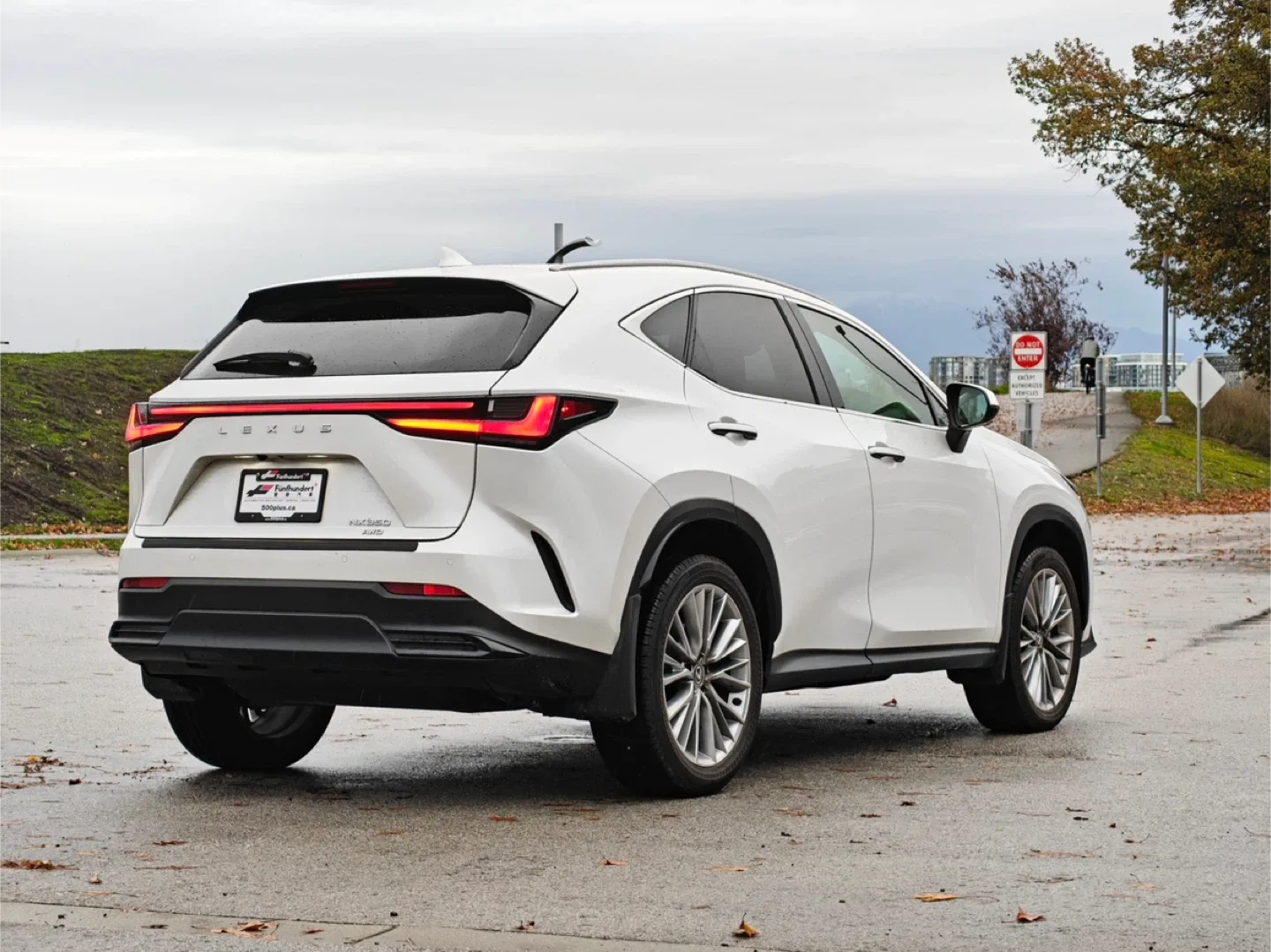 Lexus NX 350 AWD image indicator(3)