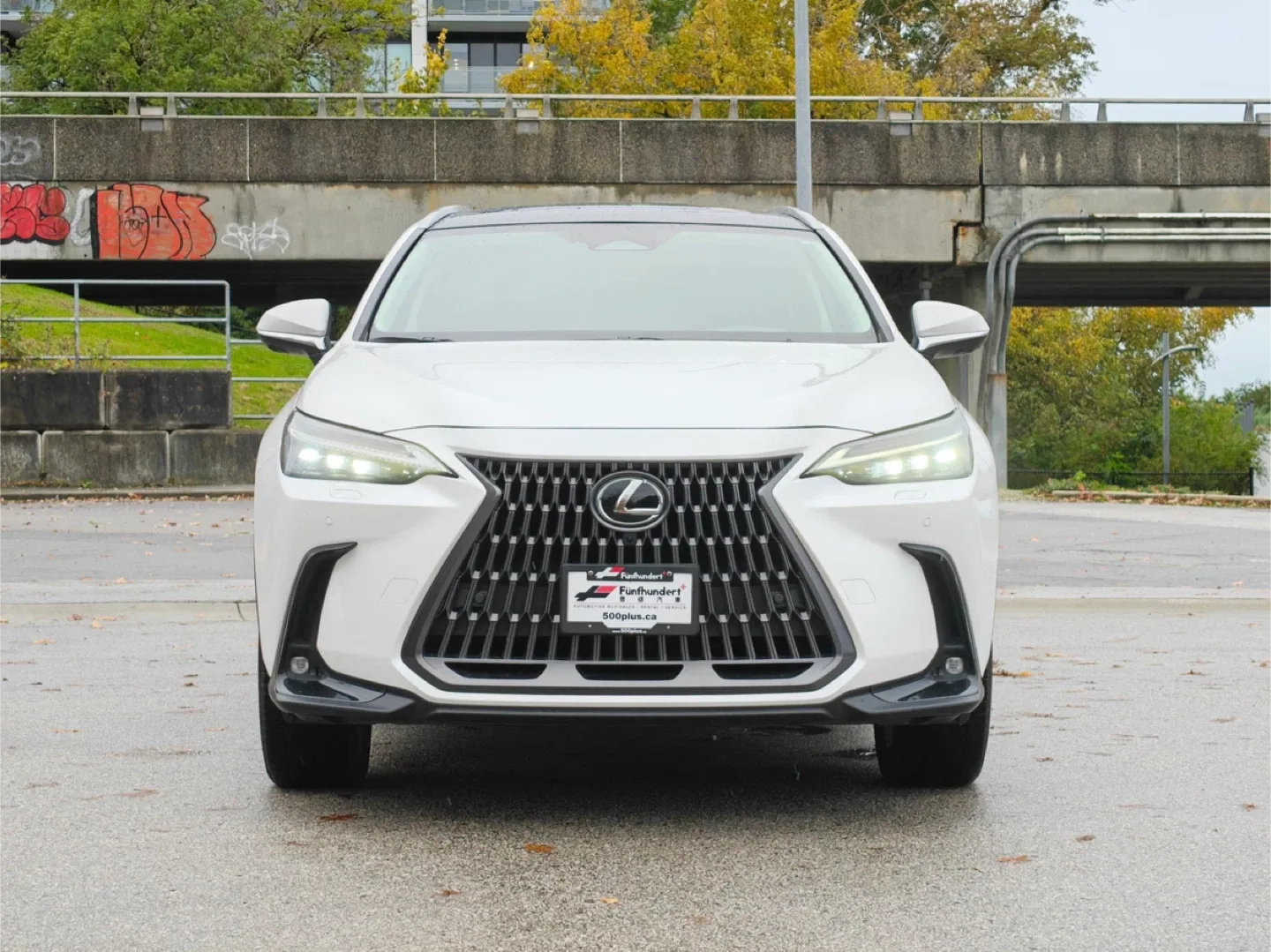 Lexus NX 350 AWD image indicator(2)