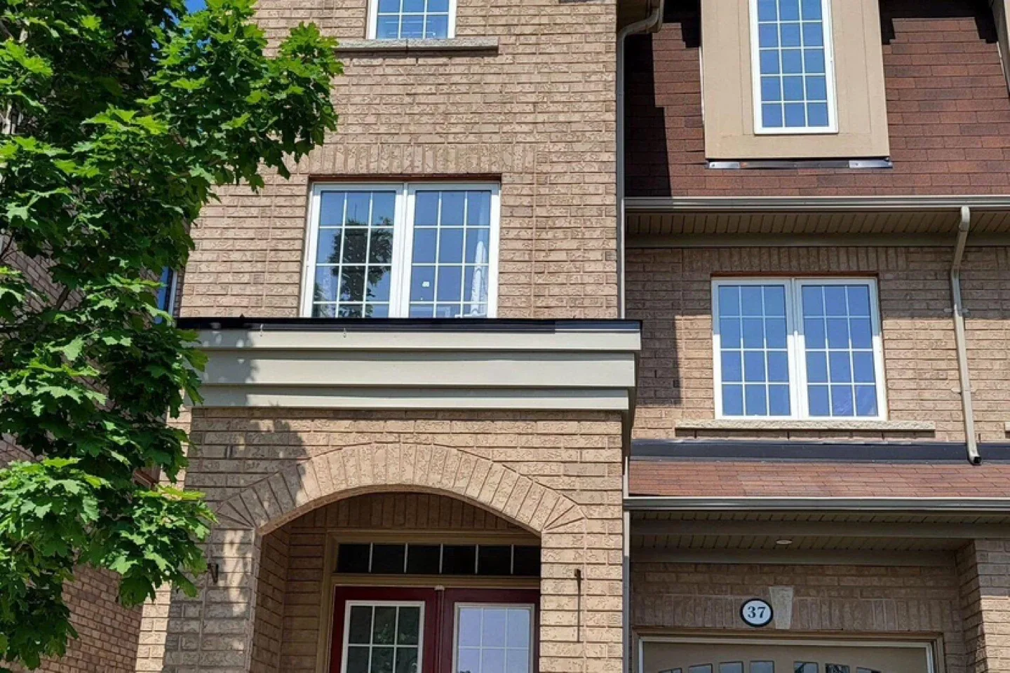 Studio Basement for Rent