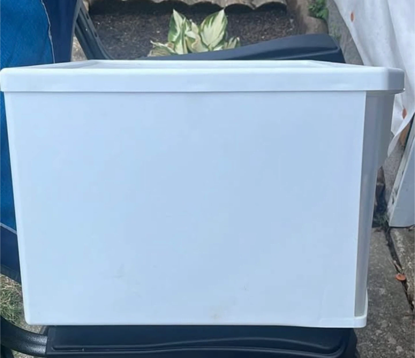 Sterilite ClearView 45 Qt. Storage Box - White - photo 4