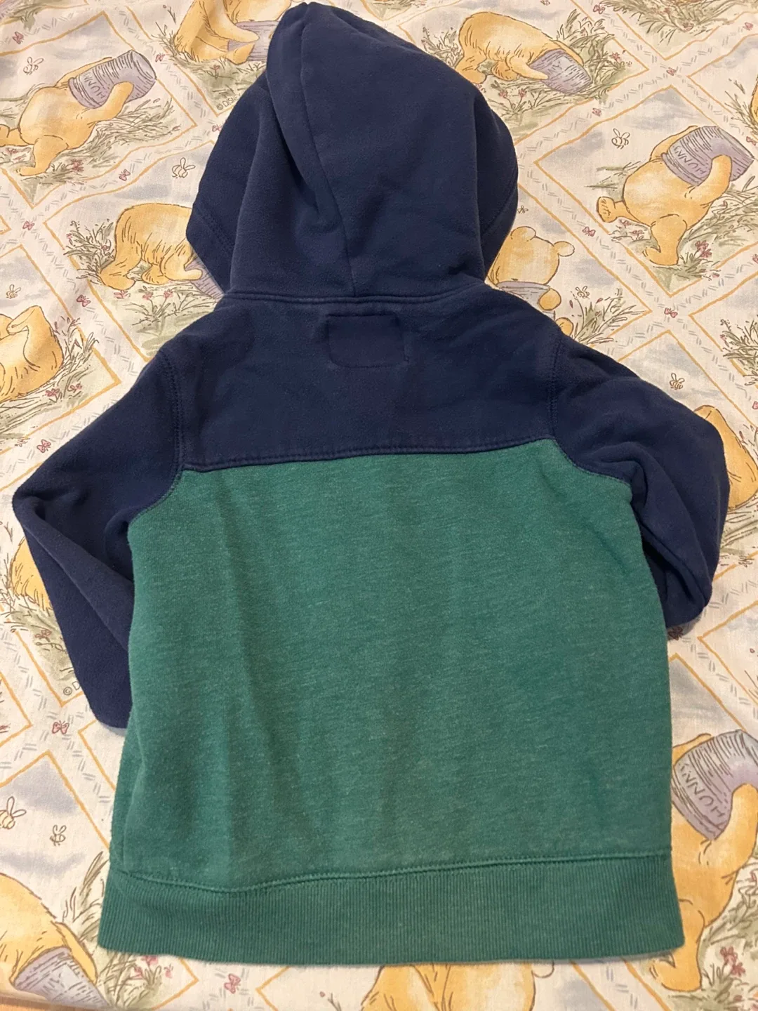 OshKosh B'gosh 3T/3A Hoodie - Blue & Green image indicator(5)