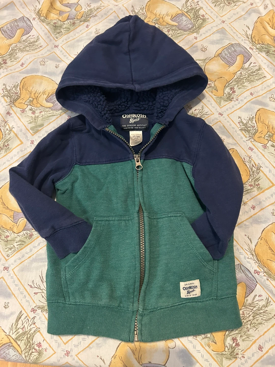OshKosh B'gosh 3T/3A Hoodie - Blue & Green