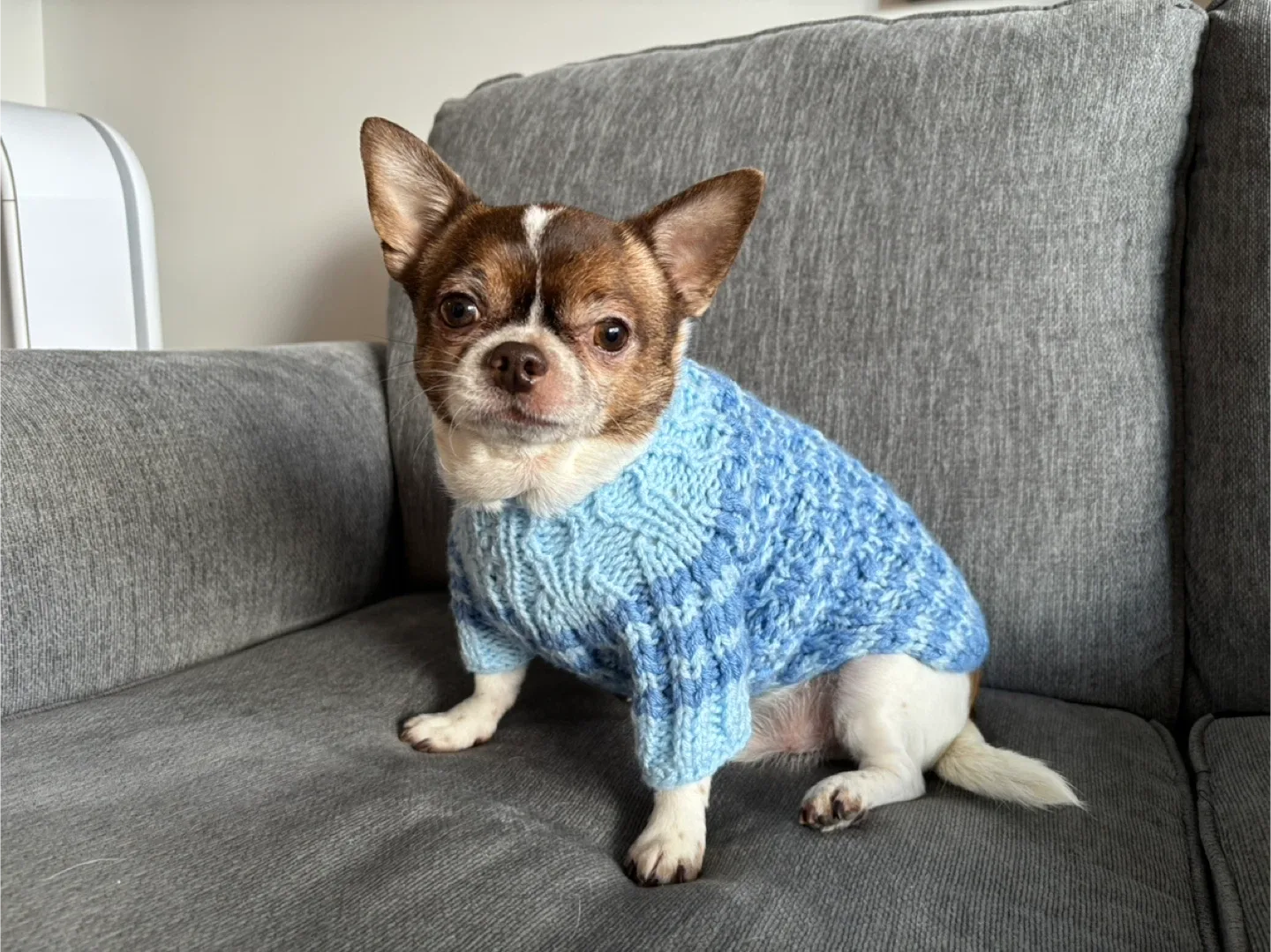 Handmade Blue Dog Sweater - Size S image indicator(2)