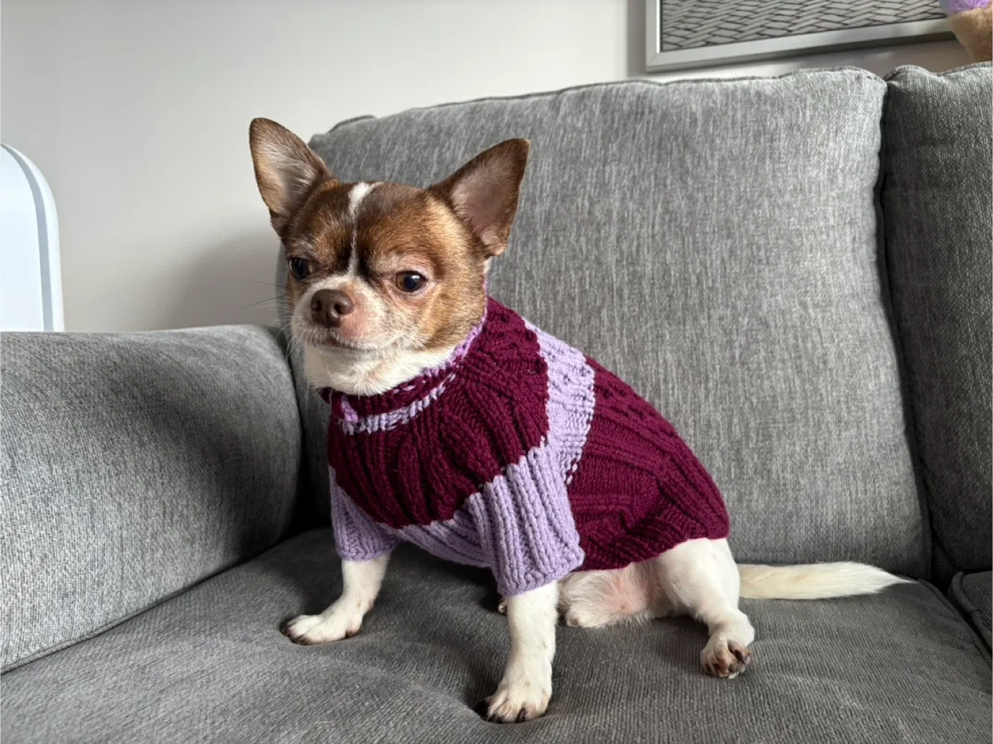 Handmade Dog Sweater – Size S image indicator(2)