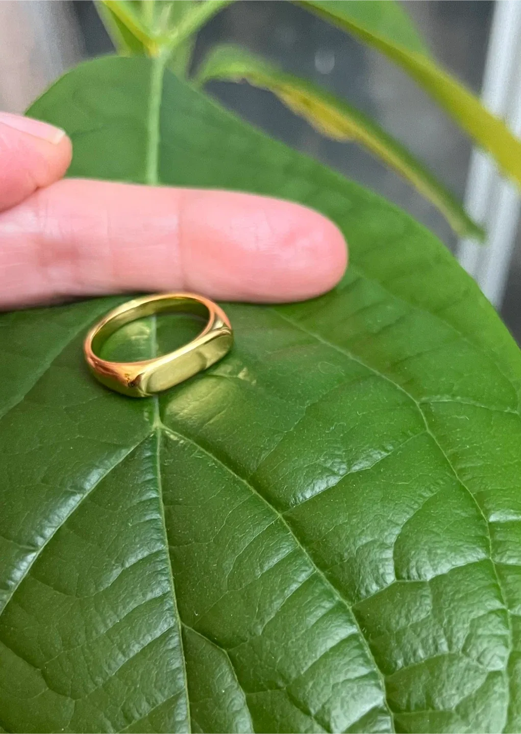 Gold Plated Signet Ring size 6