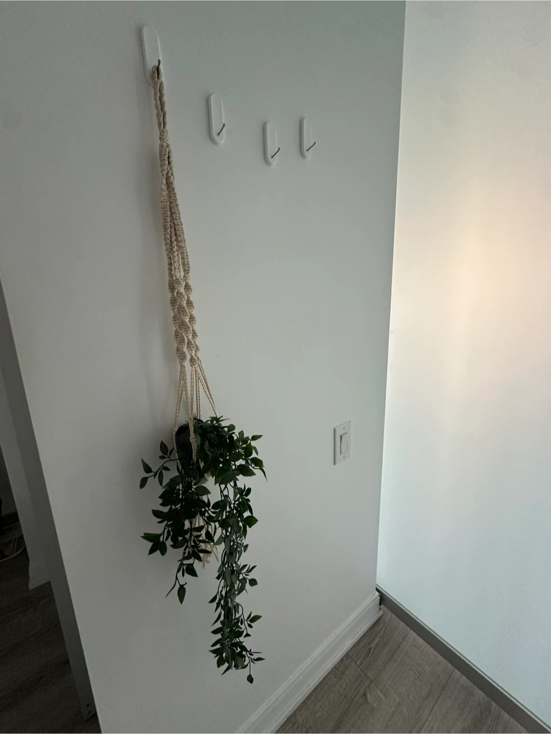 Macrame Plant Hanger and Fake Plant