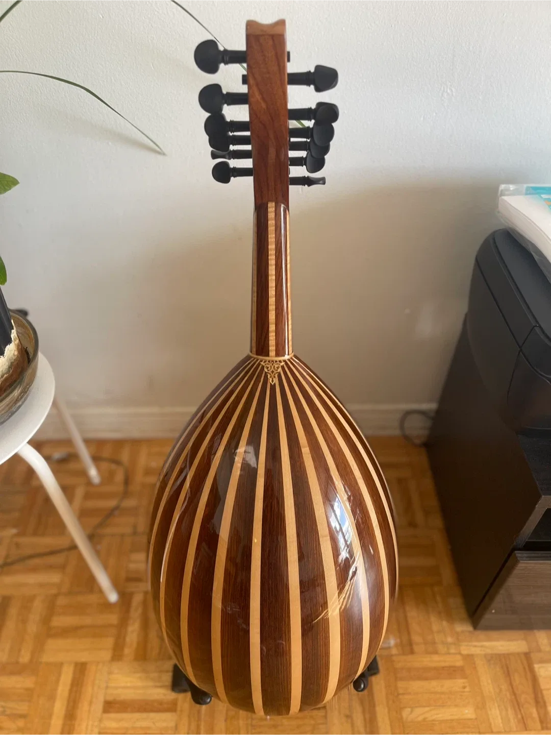 Oud Stringed Instrument