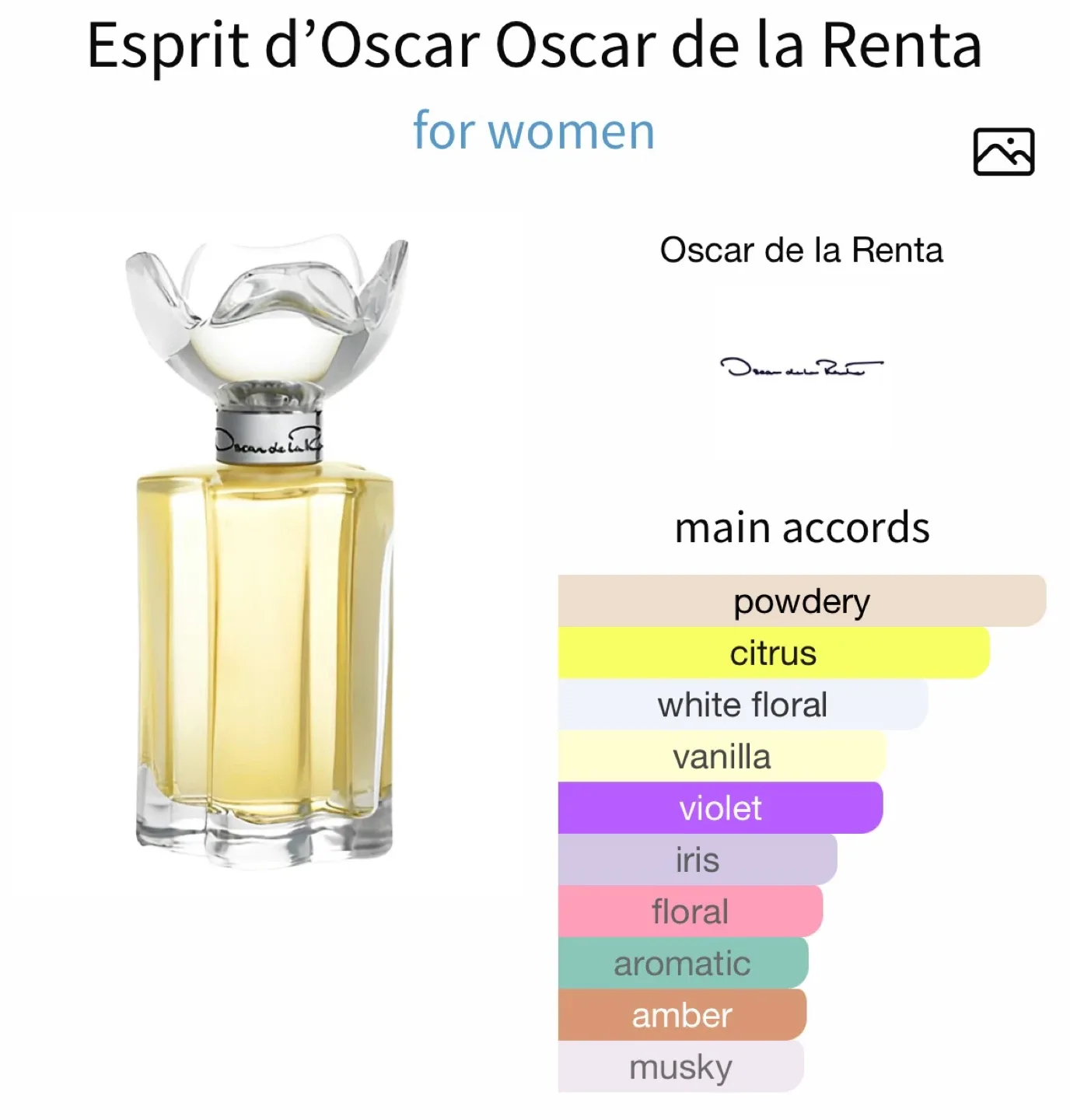 Oscar de la Renta Esprit d'Oscar 100ml EDP - New image indicator(2)