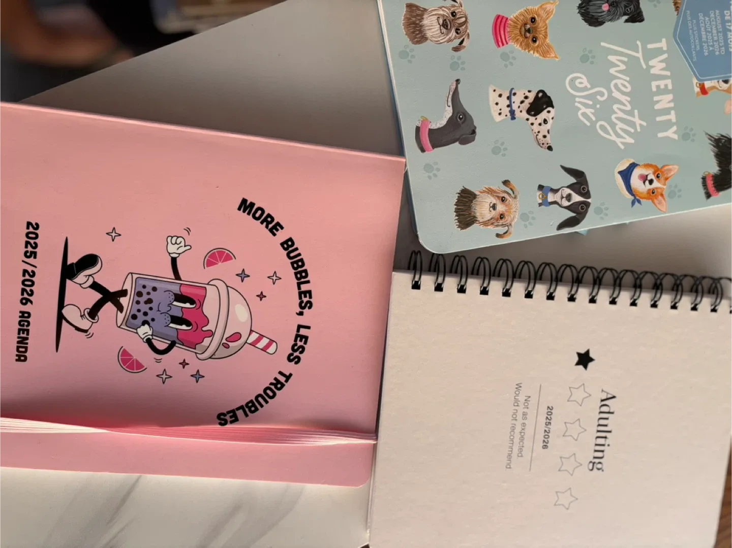 2026 Planners image indicator(2)