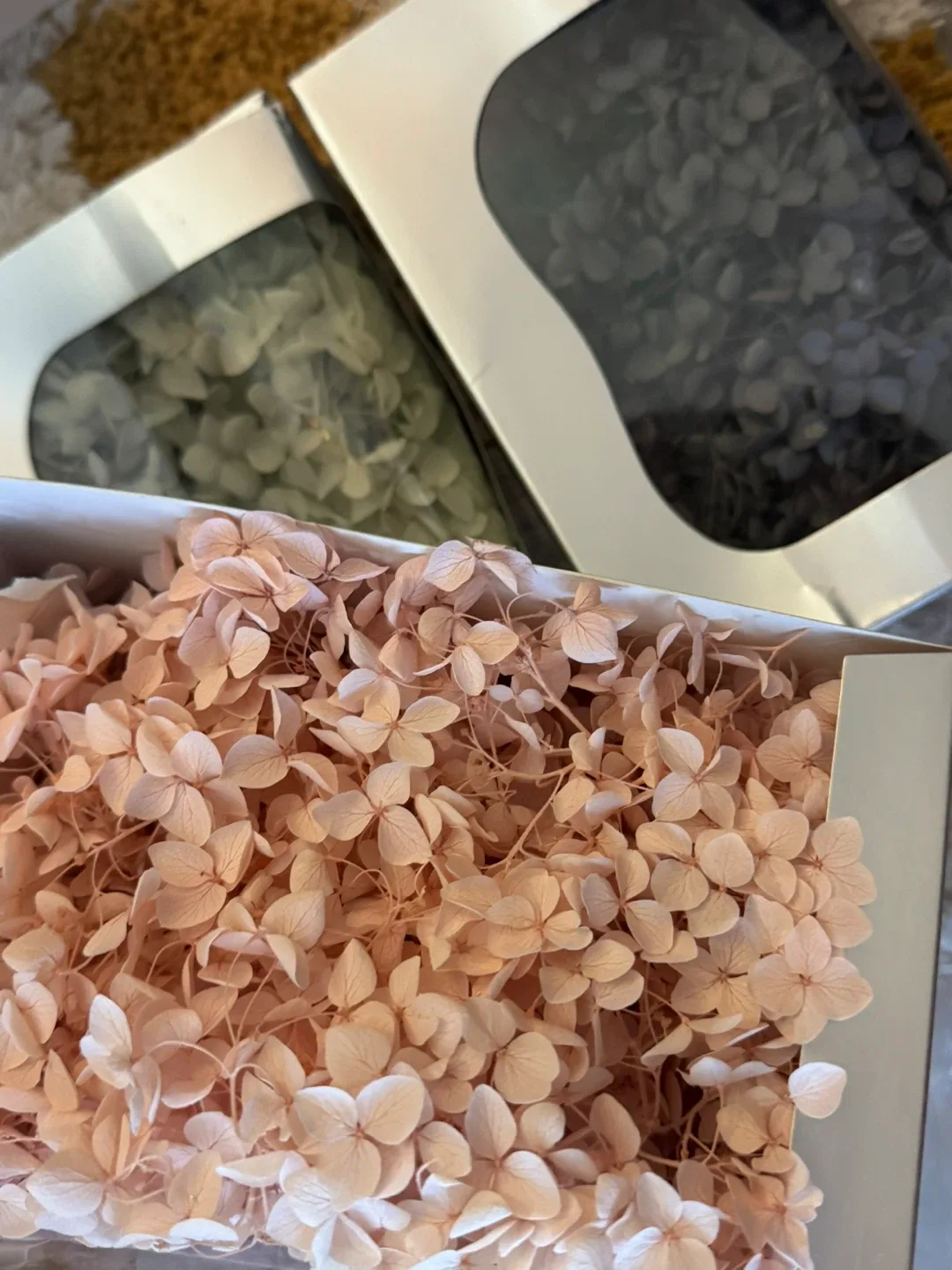 Preserved Hydrangea Flowers image indicator(2)