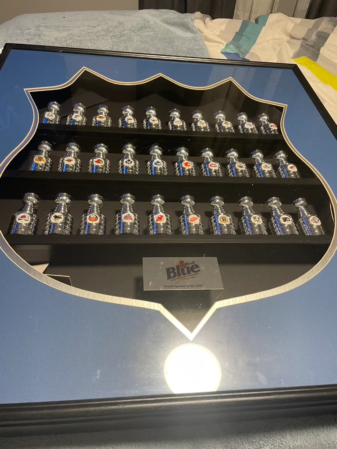 Framed NHL Stanley Cup Team Logo Display thumbnail