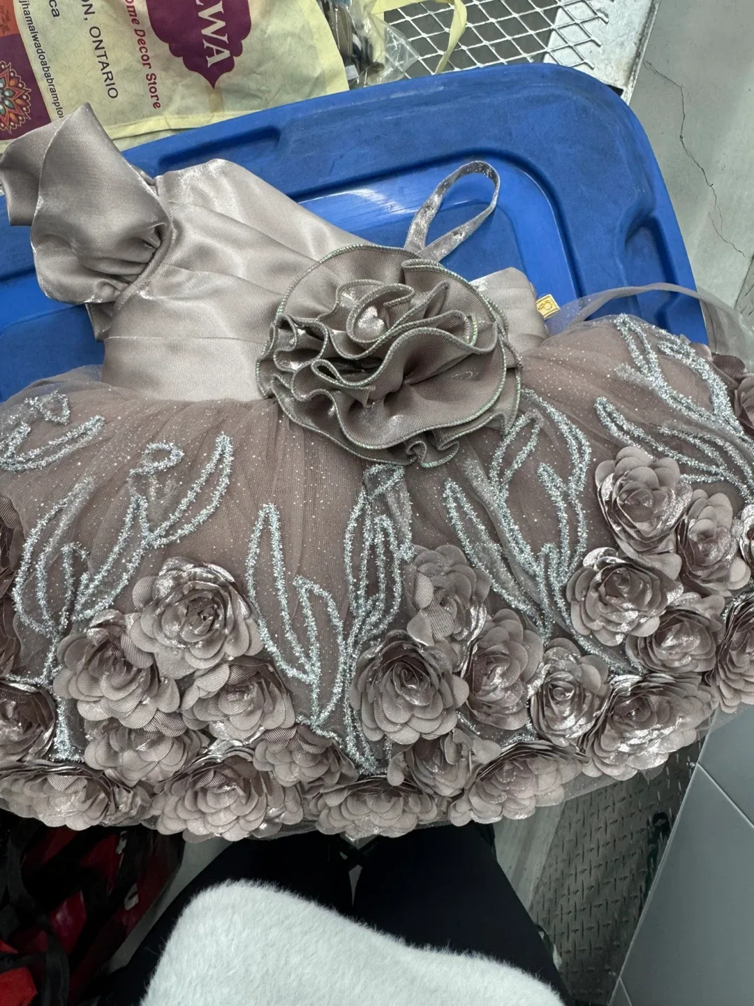 Little Plum Dress & Shoes Set image indicator(4)