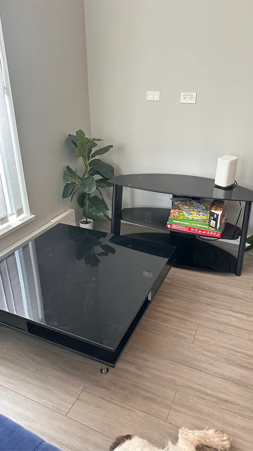 Move Out Clearance - 100$ everything image indicator(3)