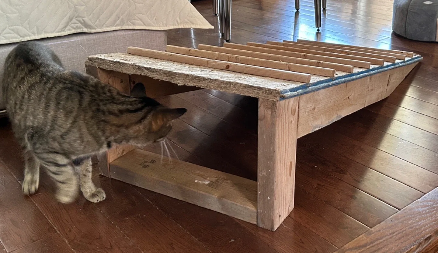 Handmade Wooden Pet Ramp image indicator(5)