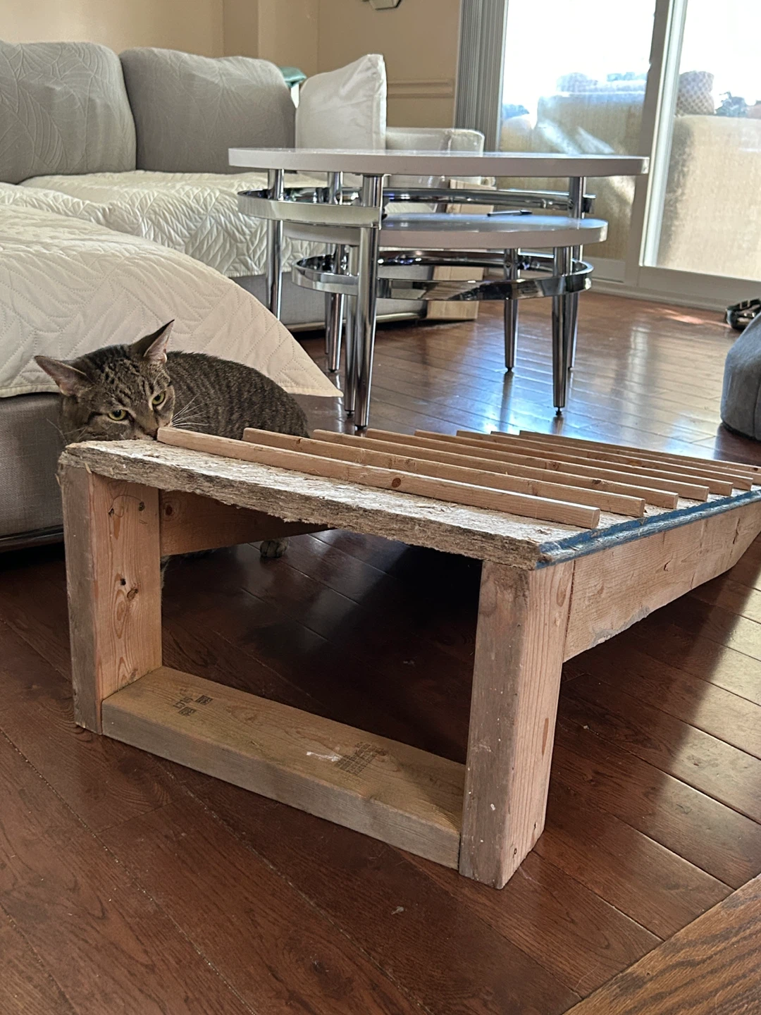 Handmade Wooden Pet Ramp (SOLD AT FB MARKETPLACE) - photo 4