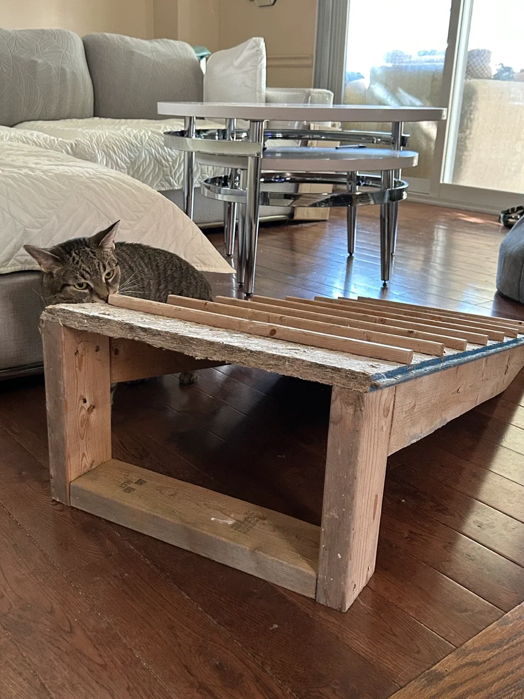 Handmade Wooden Pet Ramp image indicator(4)