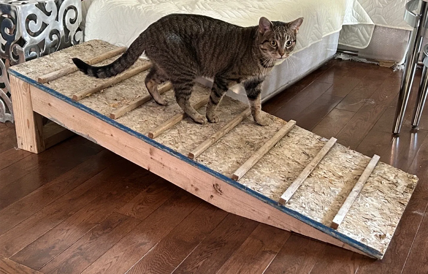 Handmade Wooden Pet Ramp image indicator(2)