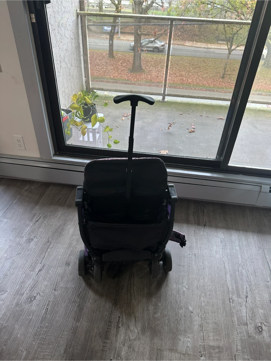 Kooltrade in Free Purple Stroller - photo 2