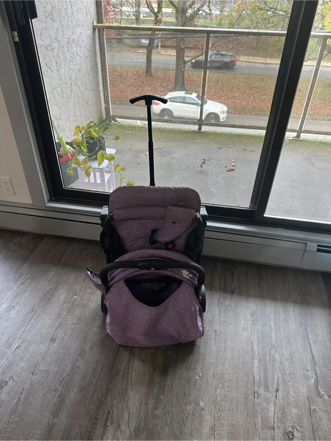 Kooltrade in Free Purple Stroller
