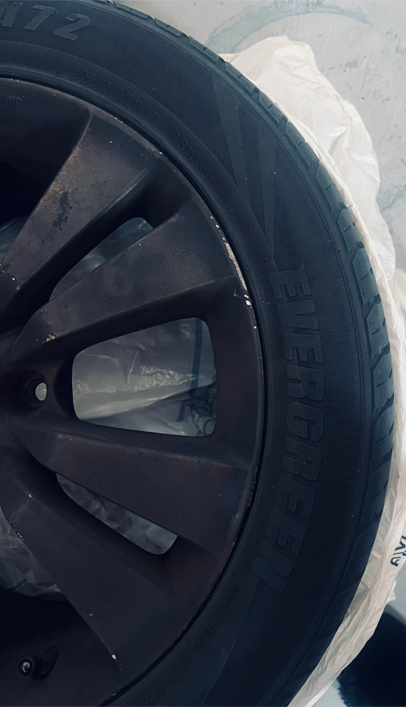 Evergreen 225/50ZR17 Tire