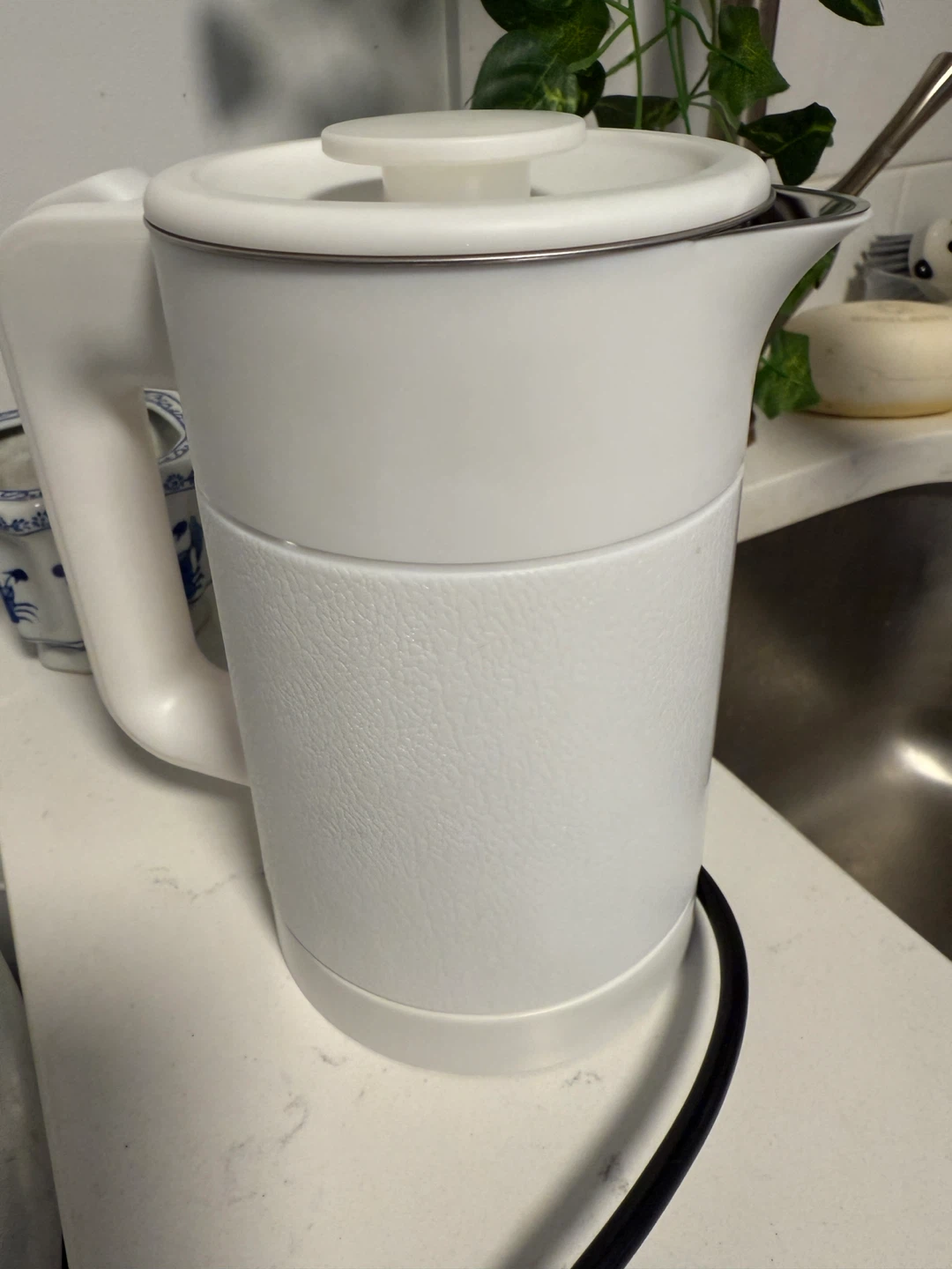 WTJMOV Electric Kettle - 0.6L Capacity🥕