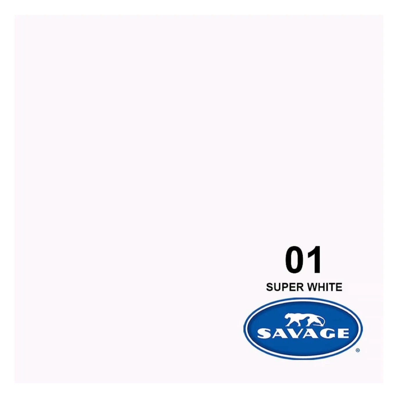 Savage Primary Red Seamless Background Paper image indicator(9)