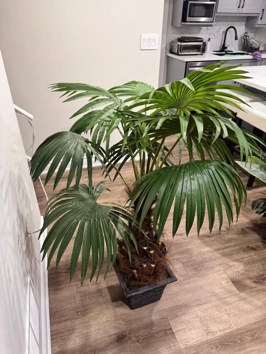 Palm Tree Plant image indicator(2)