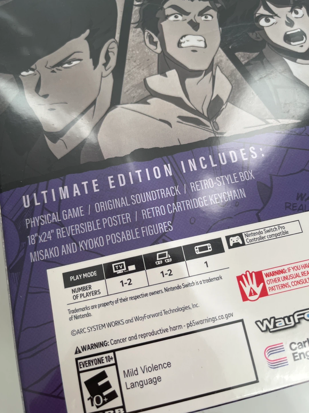 River City Girls Zero Ultimate Edition Nintendo Switch - photo 5