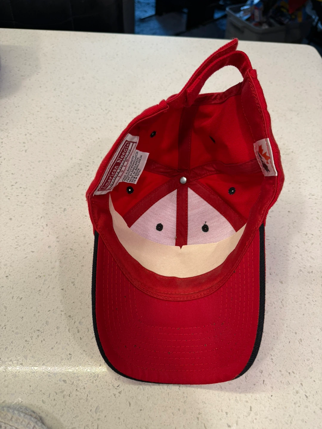 Signed Dany Heatley Team Canada Hat - photo 3