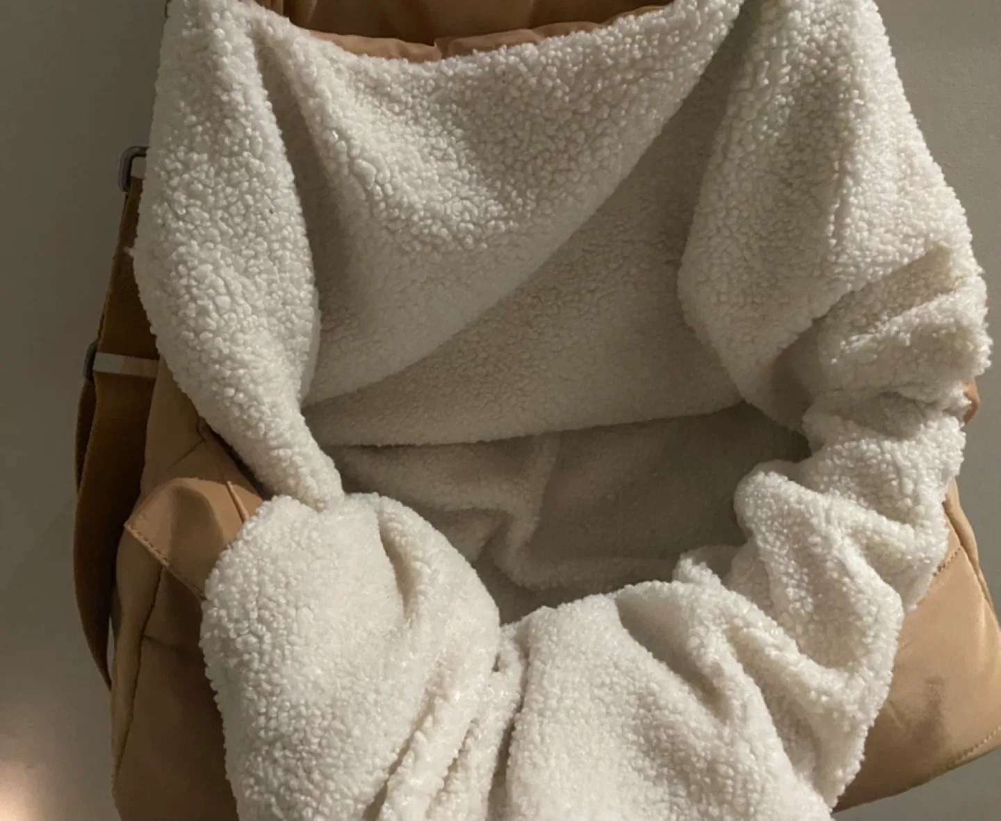 Hotel Doggy Pet Carrier Tote image indicator(3)