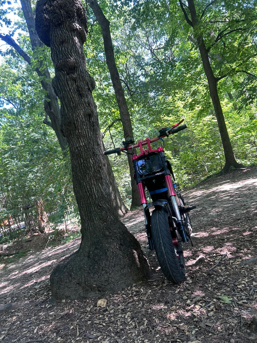 Razor mod - photo 2