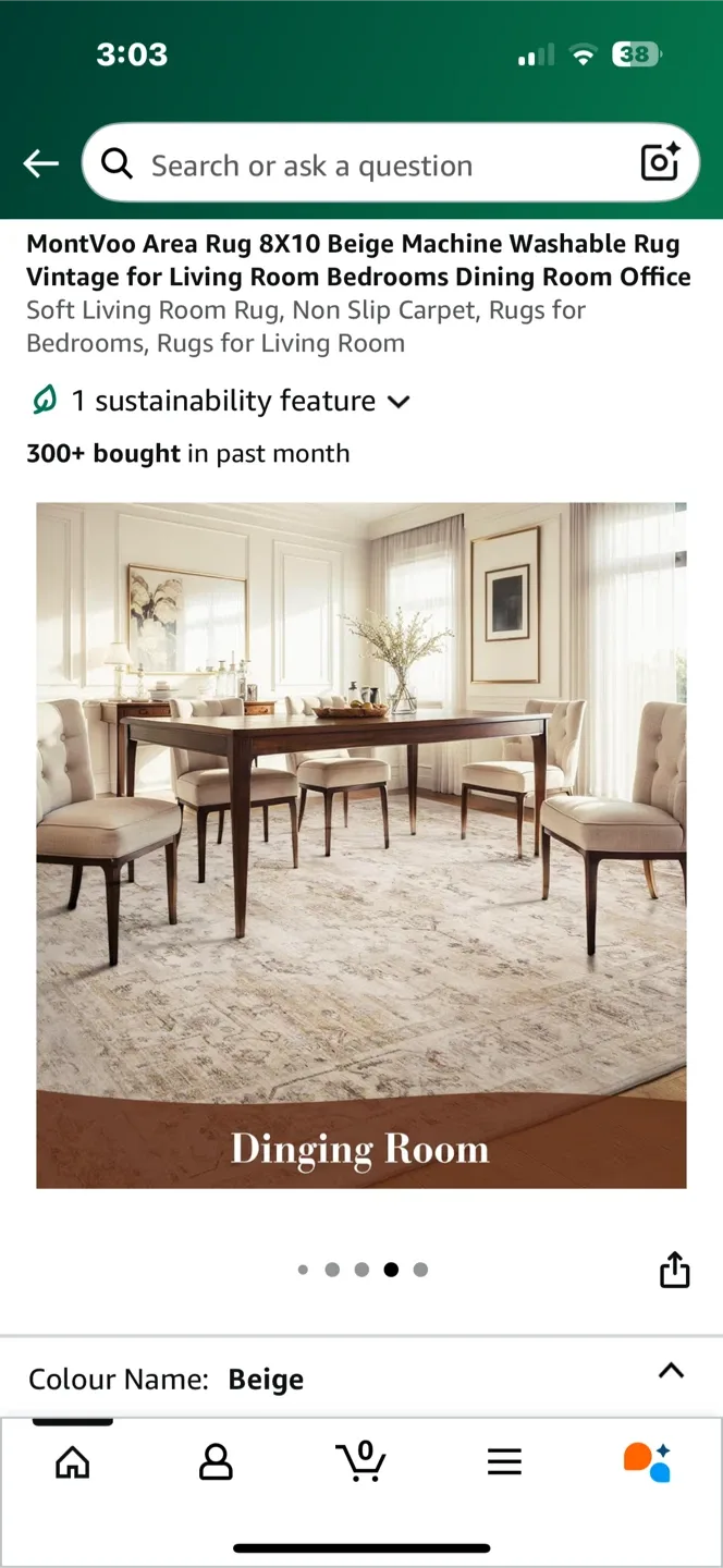 MontVoo Beige Area Rug 8x10 image indicator(5)