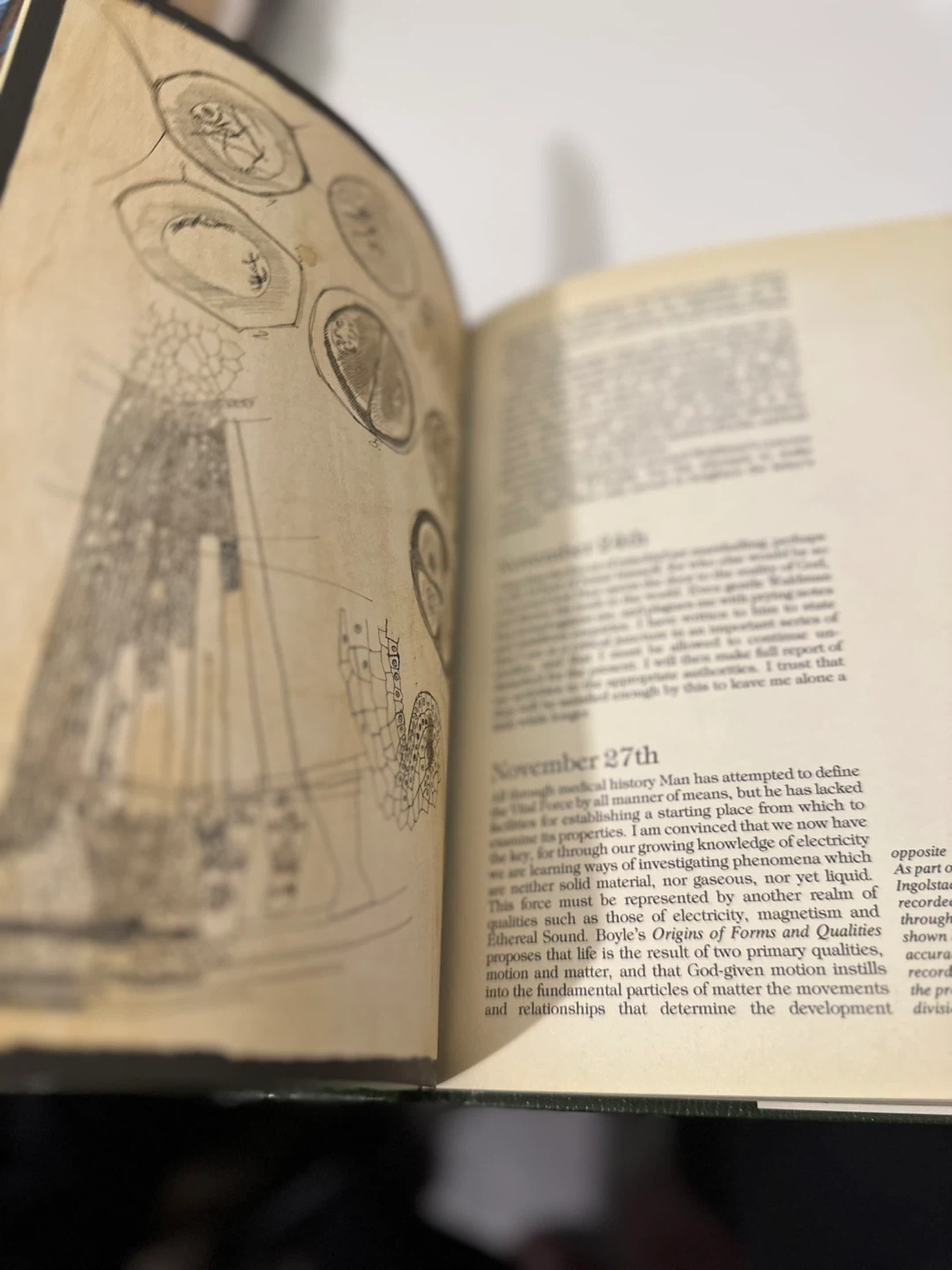 The Frankenstein Diaries - photo 5