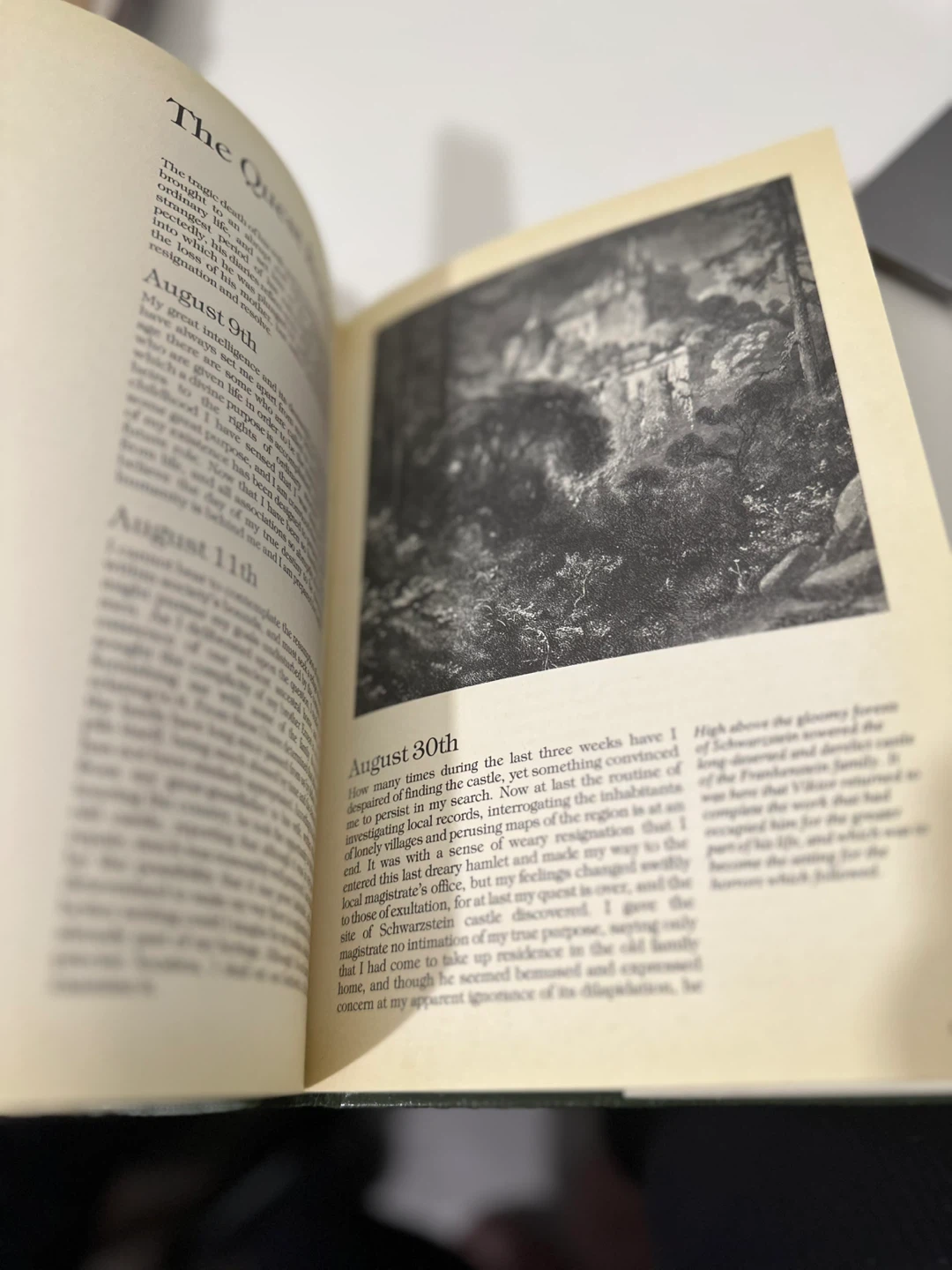 The Frankenstein Diaries - photo 4